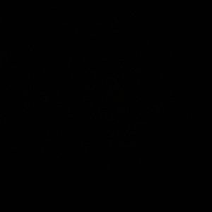 Meet your Posher, Randy